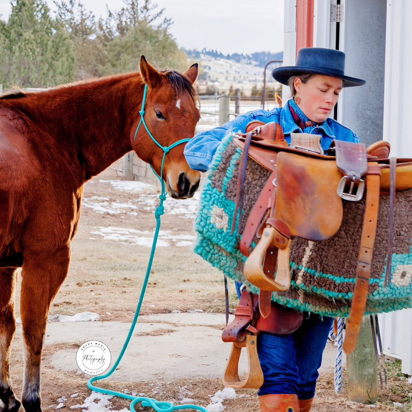 Home and Tack Room